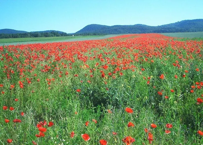 Ferienwohnung-stricker-typ-b-balkon-2-2 Apartamento Walkenried